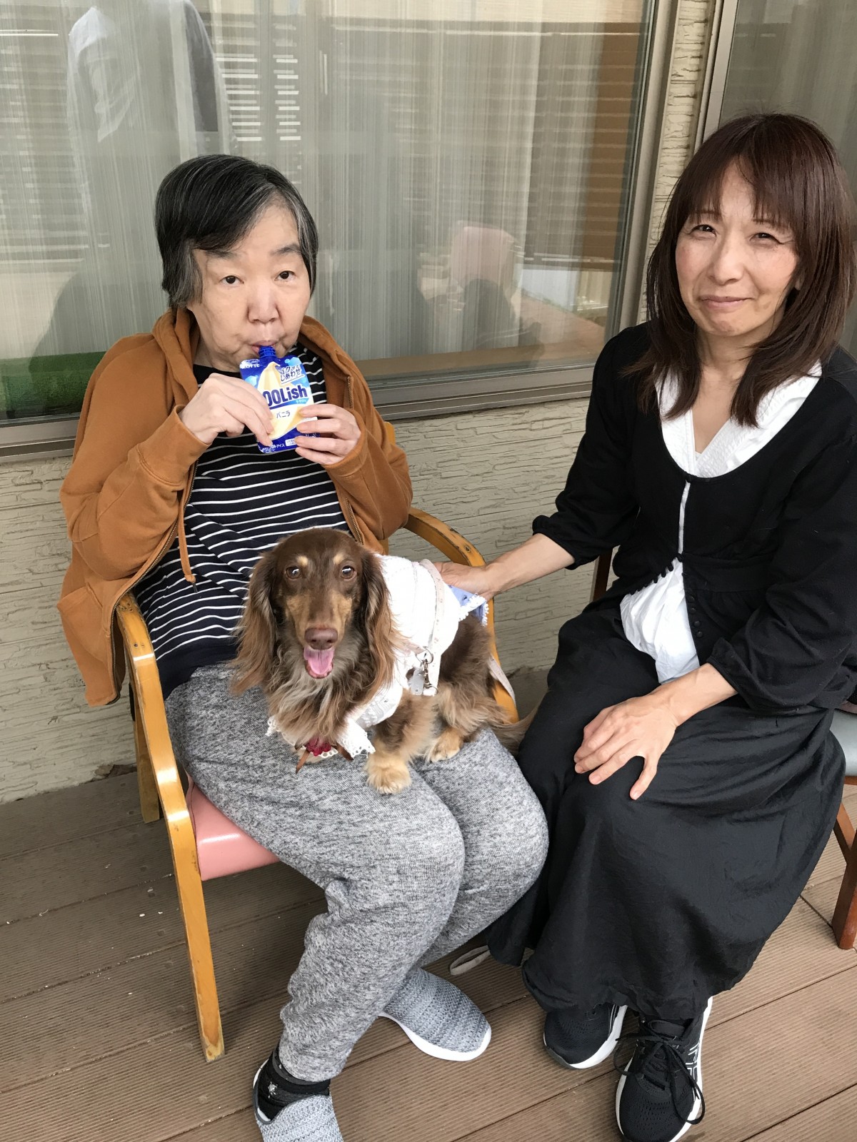 介護　
リハビリパンツ 人気の Dioにお勧め！DAYTONA PROGRESS RACING DAYTONA デイトナ