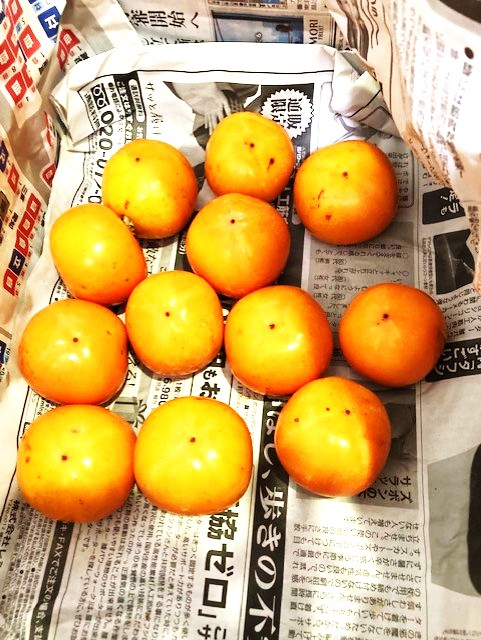 00109850_eye_catch.jpg?1207514361