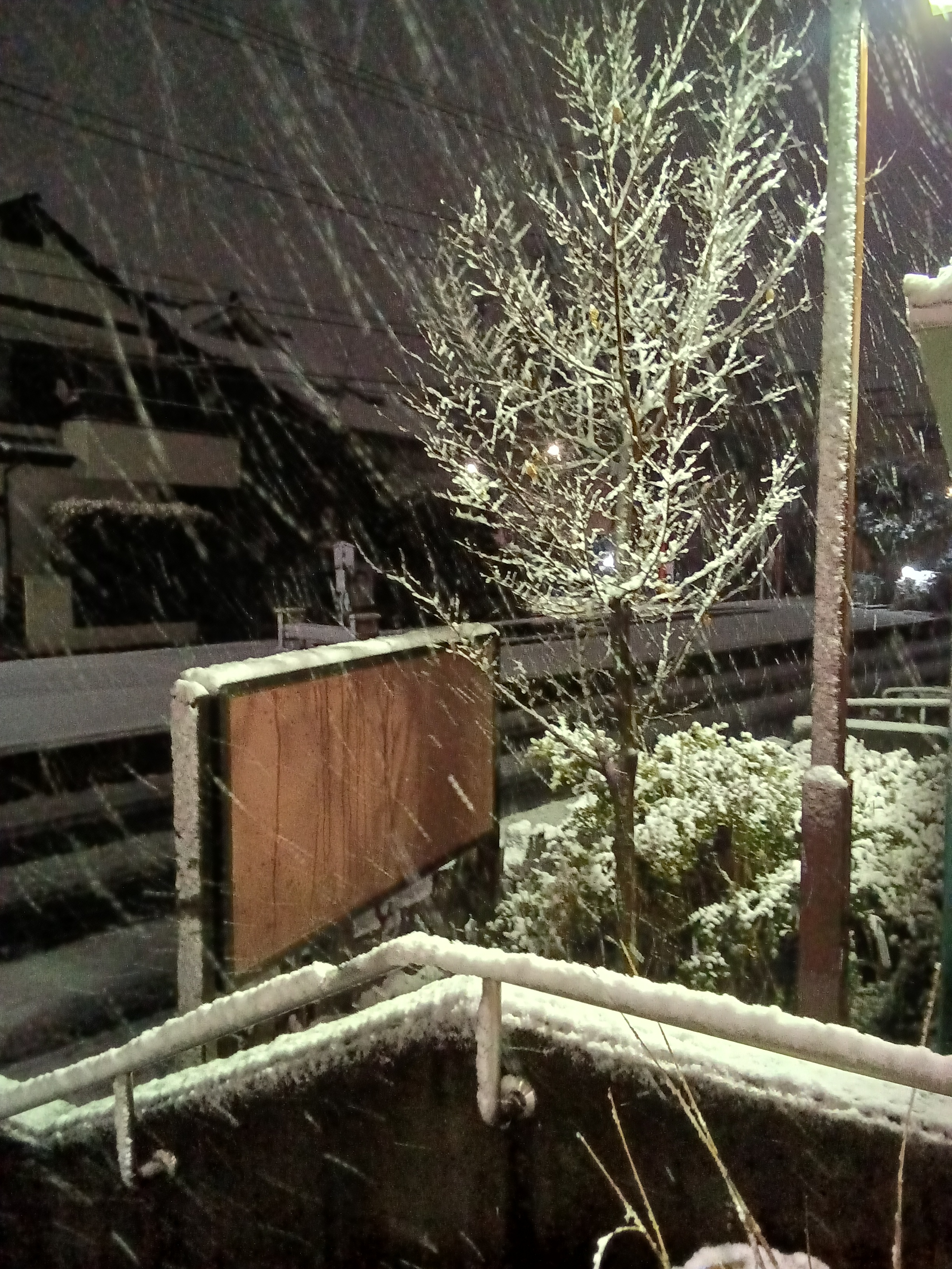 初雪｜スタッフブログ｜ALSOK介護株式会社