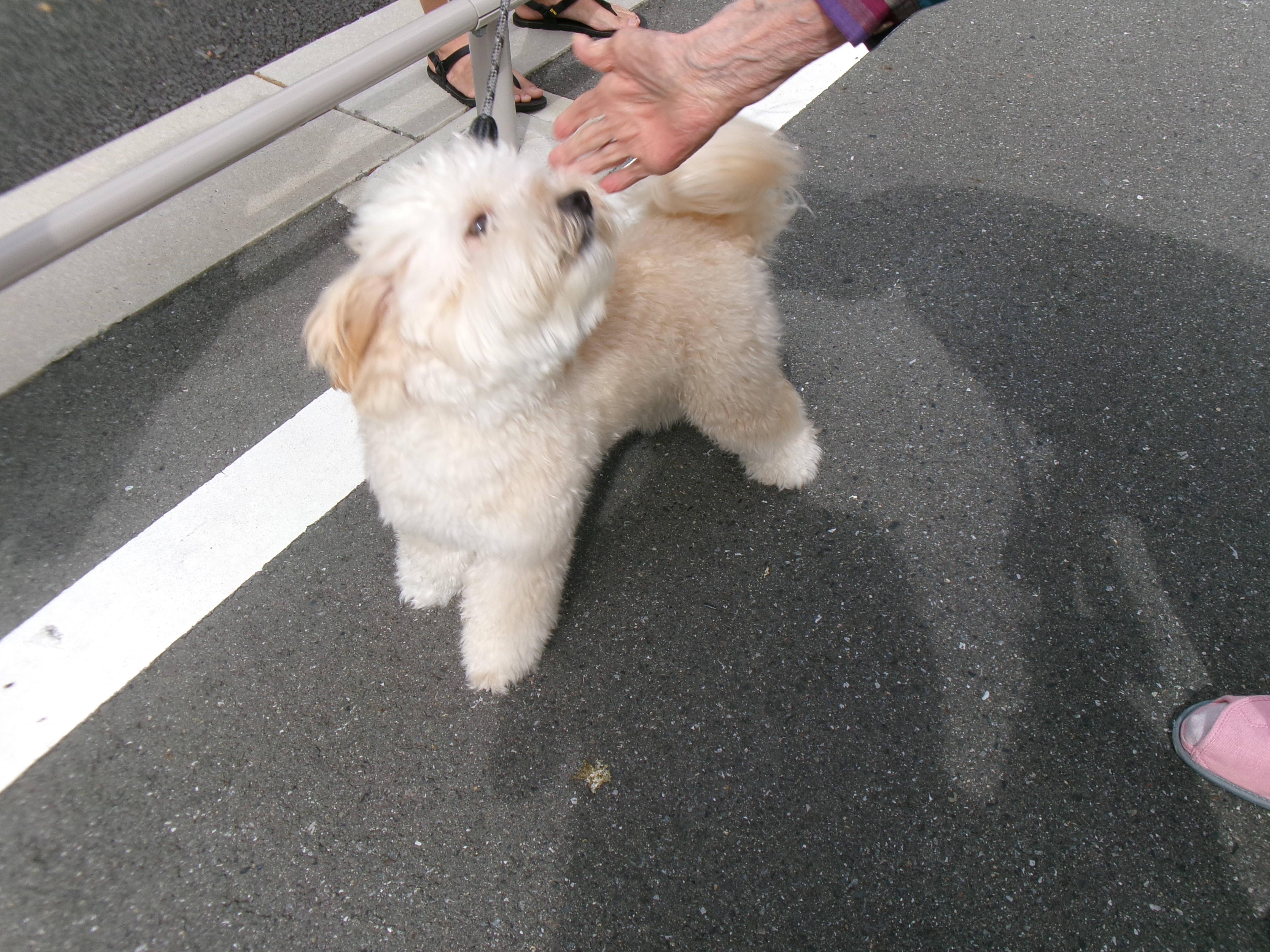 ☆公園へ散歩☆｜スタッフブログ｜ALSOK介護株式会社
