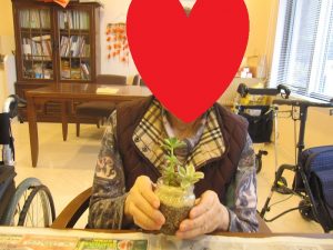 IMG_2584 - コピー