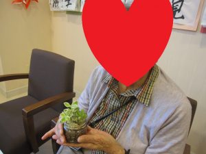 IMG_2582 - コピー