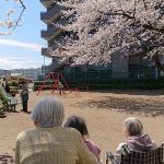 桜より子供好き