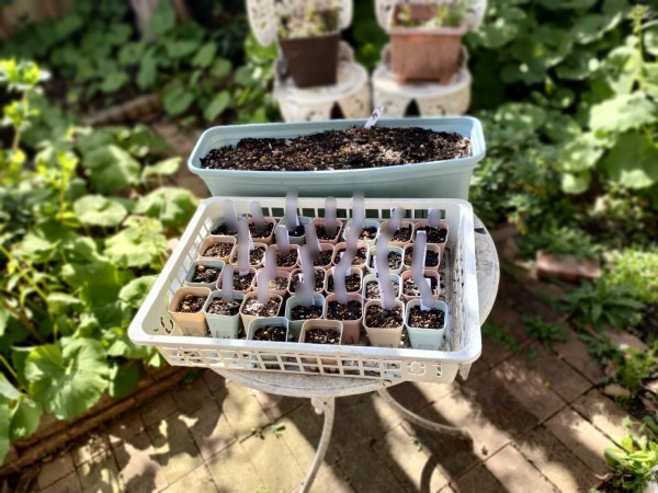 かたくりファーム