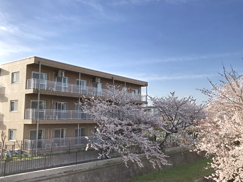 施設前の桜
